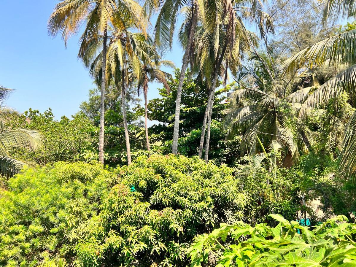 Kyel Villa Guest House Arambol Eksteriør bilde